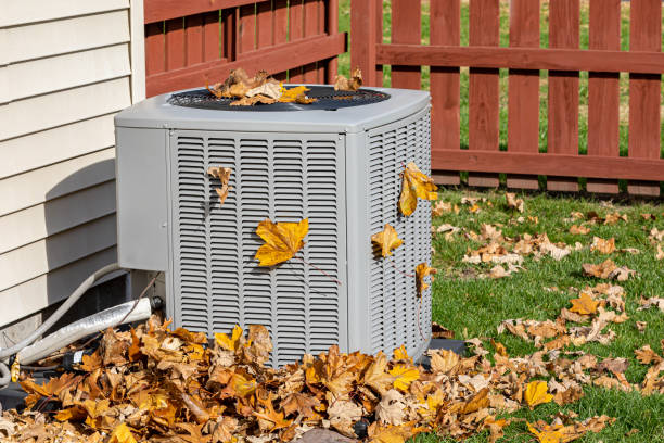Best Air Quality Test  in Danville, AR